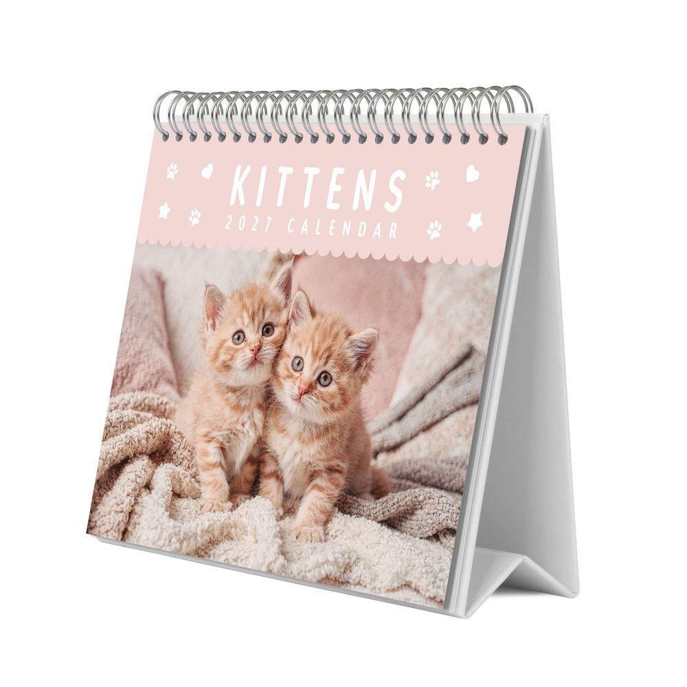 Grupo Erik - Kittens 2027 Schreibtischkalender - Mehrfarben